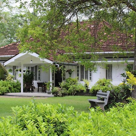 Sun And Surf Rest Hotel Ahangama Luaran gambar