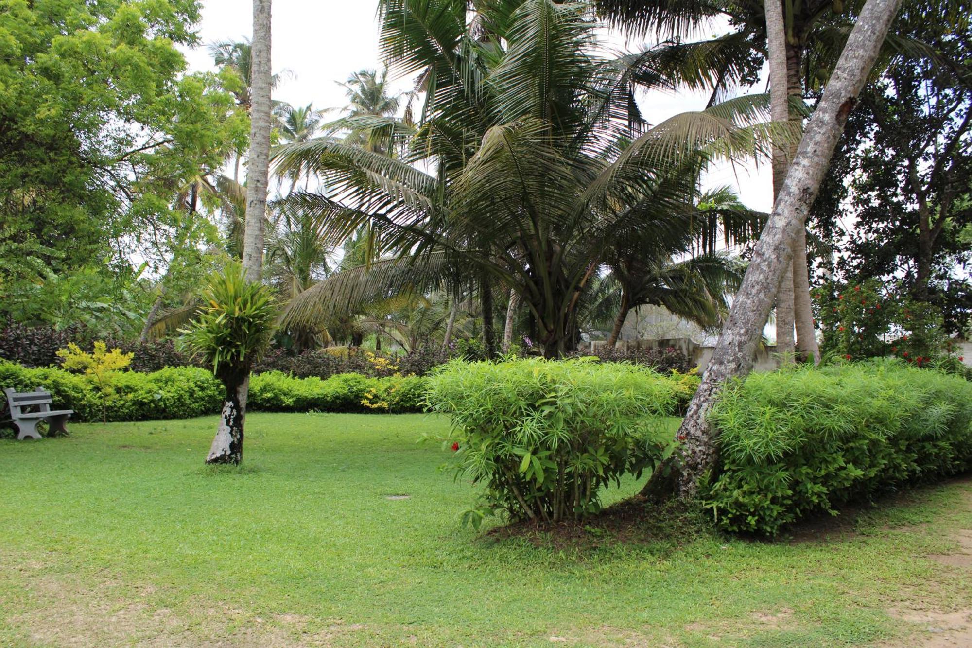 Sun And Surf Rest Hotel Ahangama Luaran gambar