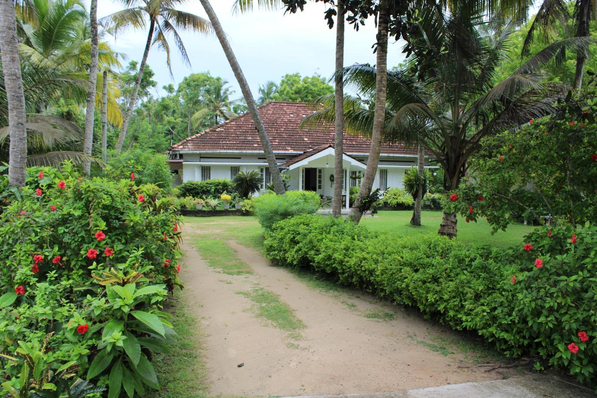 Sun And Surf Rest Hotel Ahangama Luaran gambar