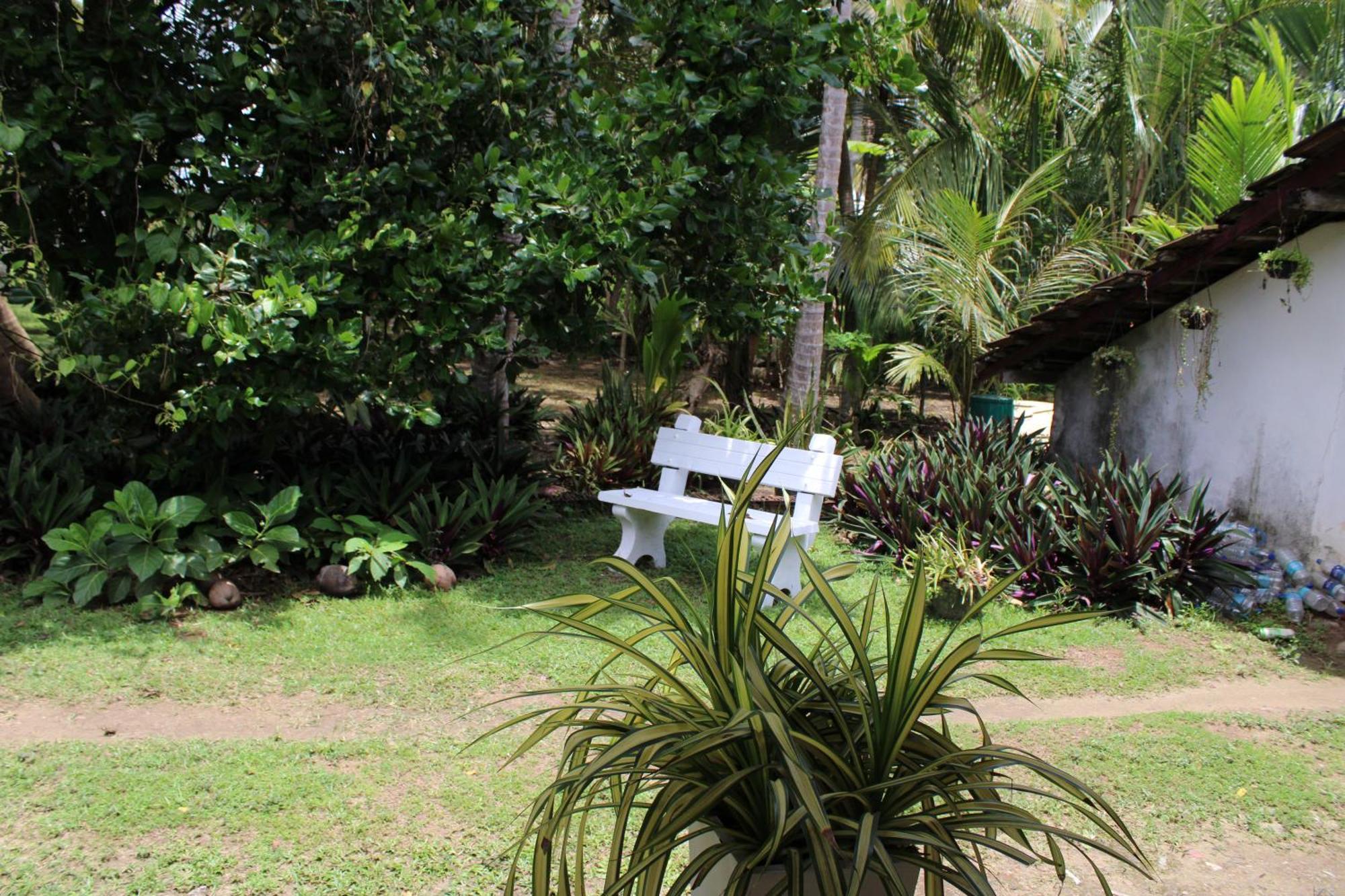 Sun And Surf Rest Hotel Ahangama Luaran gambar