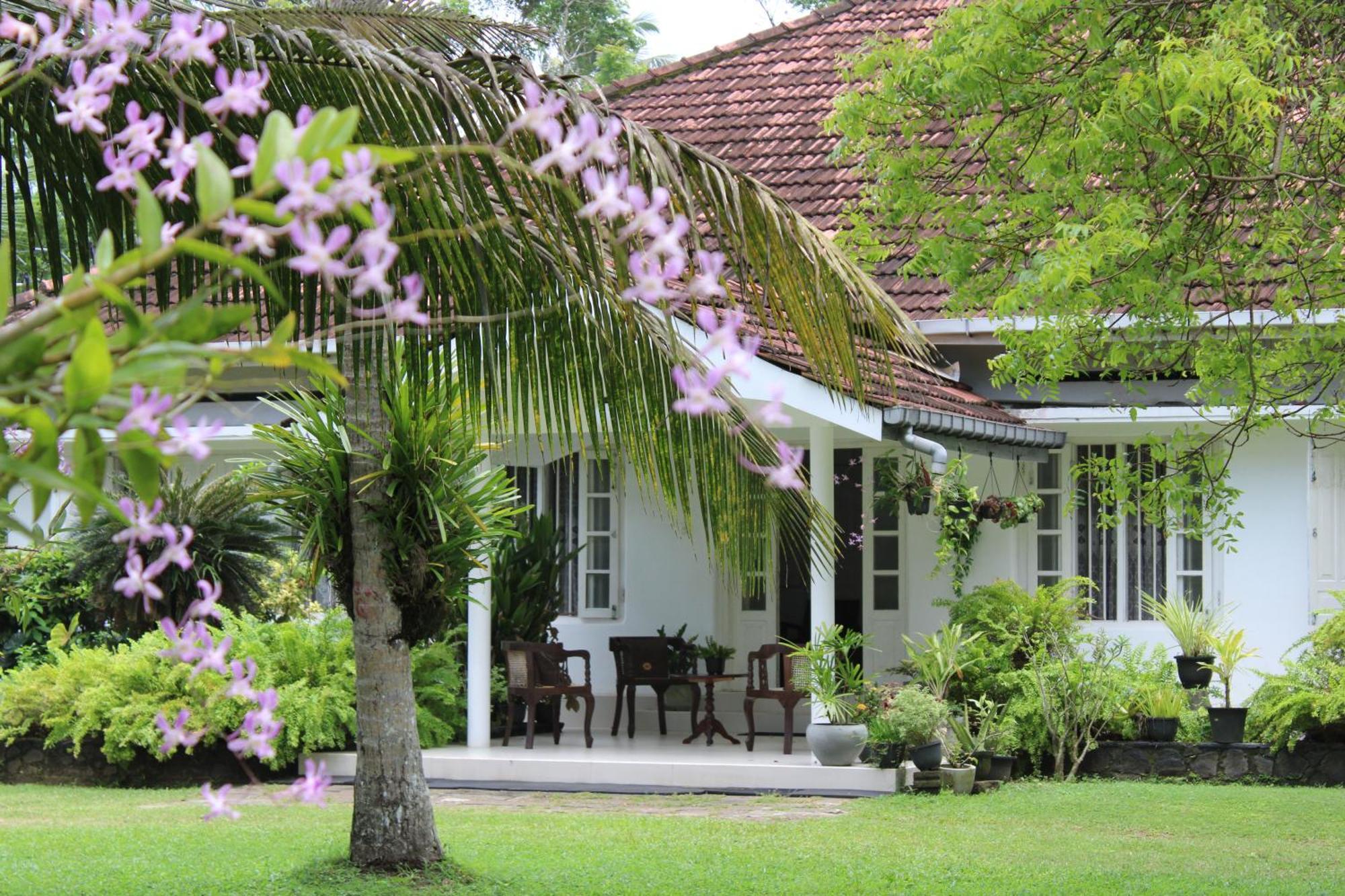 Sun And Surf Rest Hotel Ahangama Luaran gambar