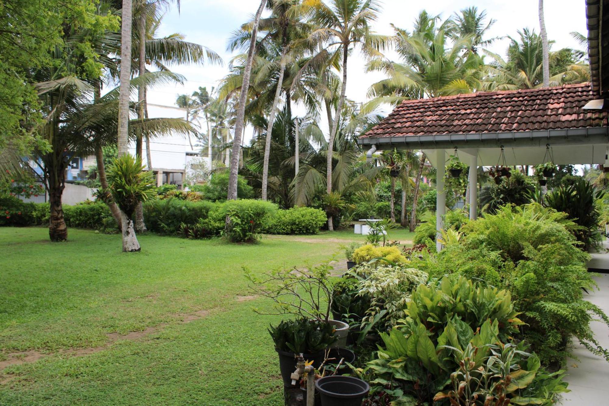Sun And Surf Rest Hotel Ahangama Luaran gambar