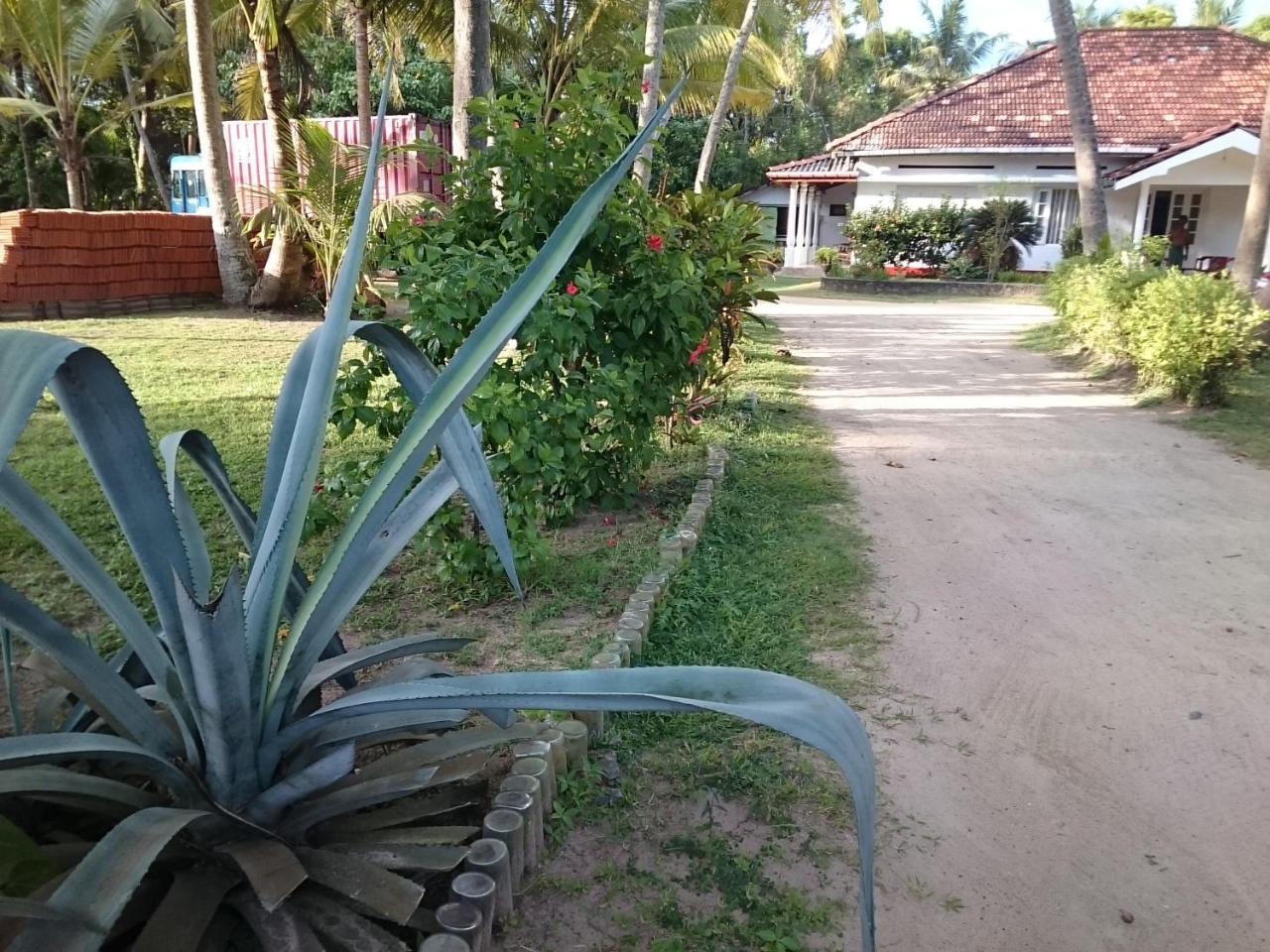 Sun And Surf Rest Hotel Ahangama Luaran gambar