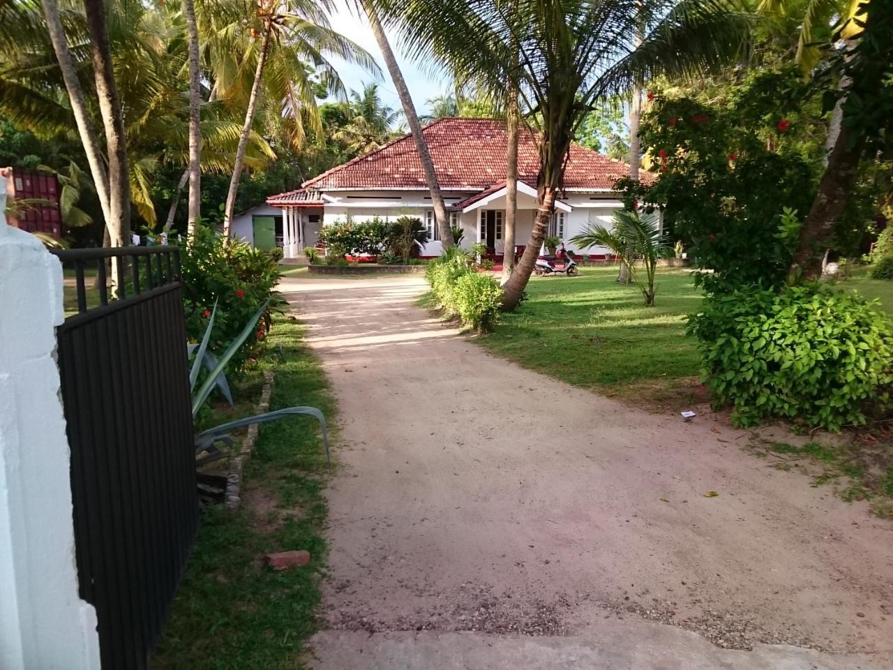 Sun And Surf Rest Hotel Ahangama Luaran gambar