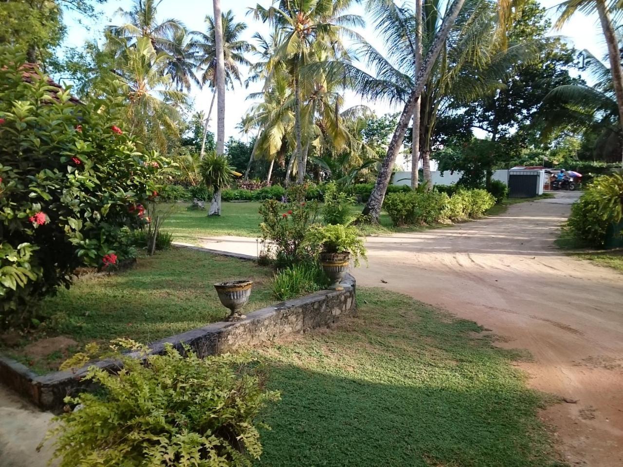 Sun And Surf Rest Hotel Ahangama Luaran gambar