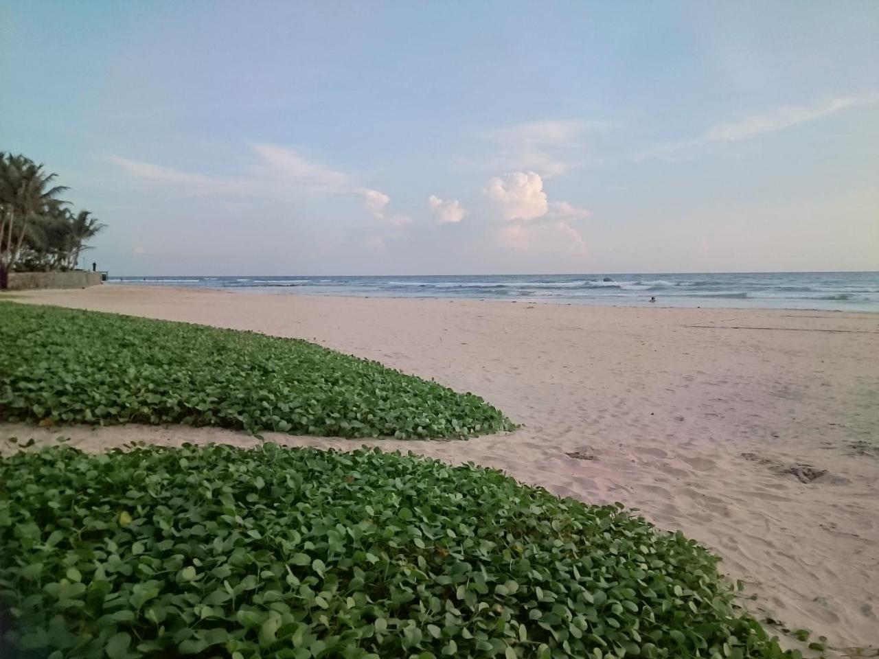 Sun And Surf Rest Hotel Ahangama Luaran gambar